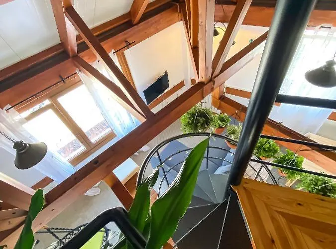 Cityhill By Vigovacaciones *